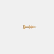 The Deneb Stud for him - thumb 5