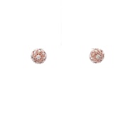 The Angligle Stud Earrings - thumb 1
