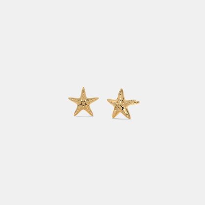 The Twinkle Star Earrings for Kids