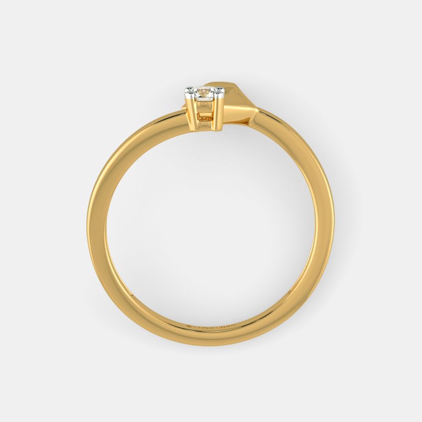 The Ardour Ring - image 7