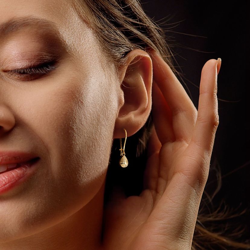 The Milu Dangle Hoop Earrings - image 3