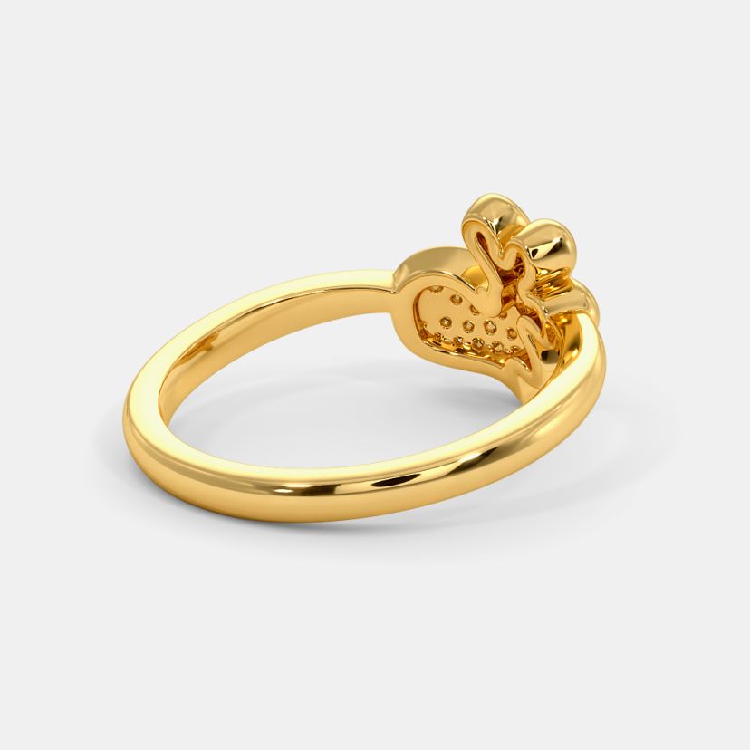 The Balea Ring - image 7