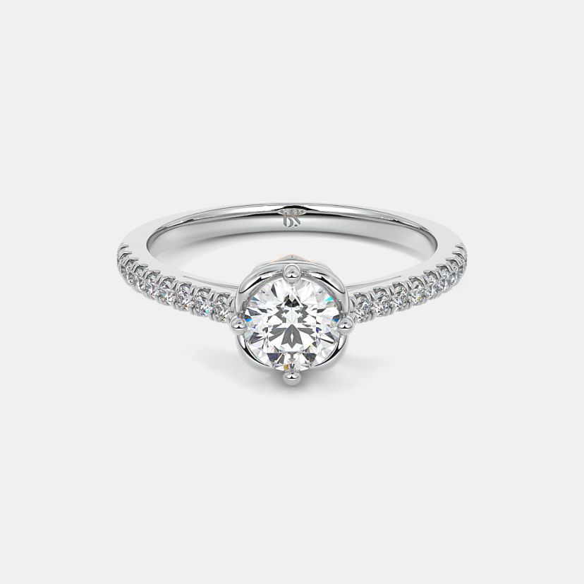 The Atlanta Ring - image 7
