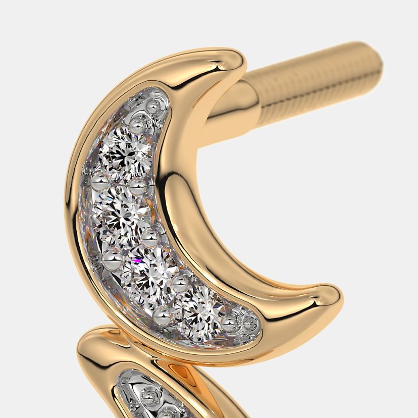 The Chandrima Earrings - image 5