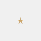 The Twinkle Star Earrings for Kids - thumb 5
