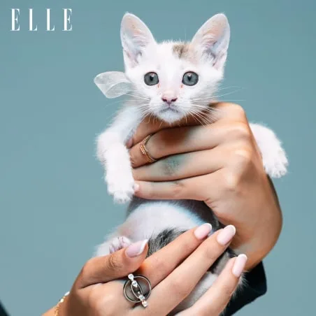 Editorial Coverage for Bluestone Jewellery in Elle